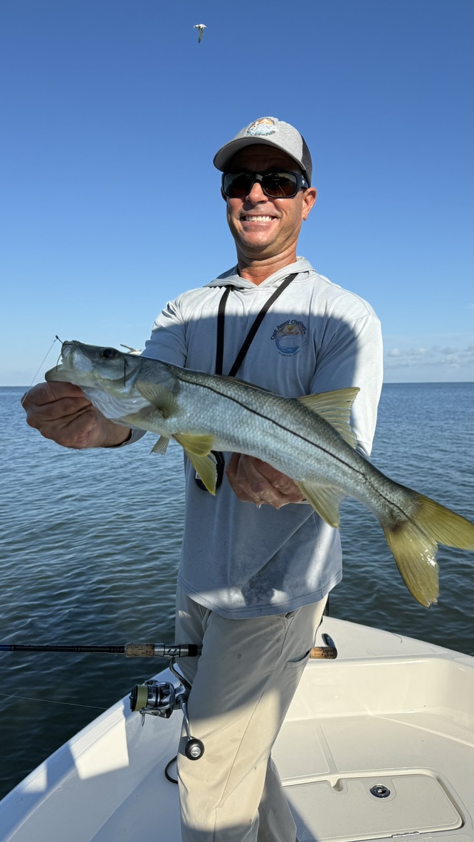 Tarpon fishing in Tampa Bay
