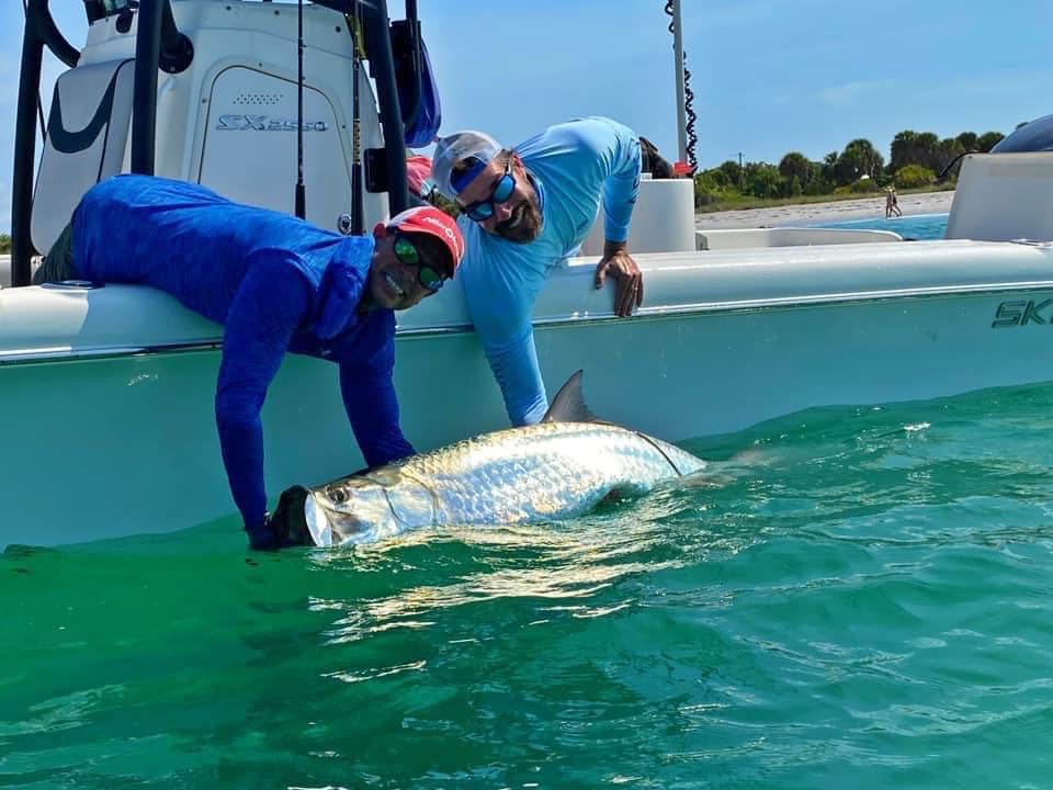 Tampa Bay tarpon fishing